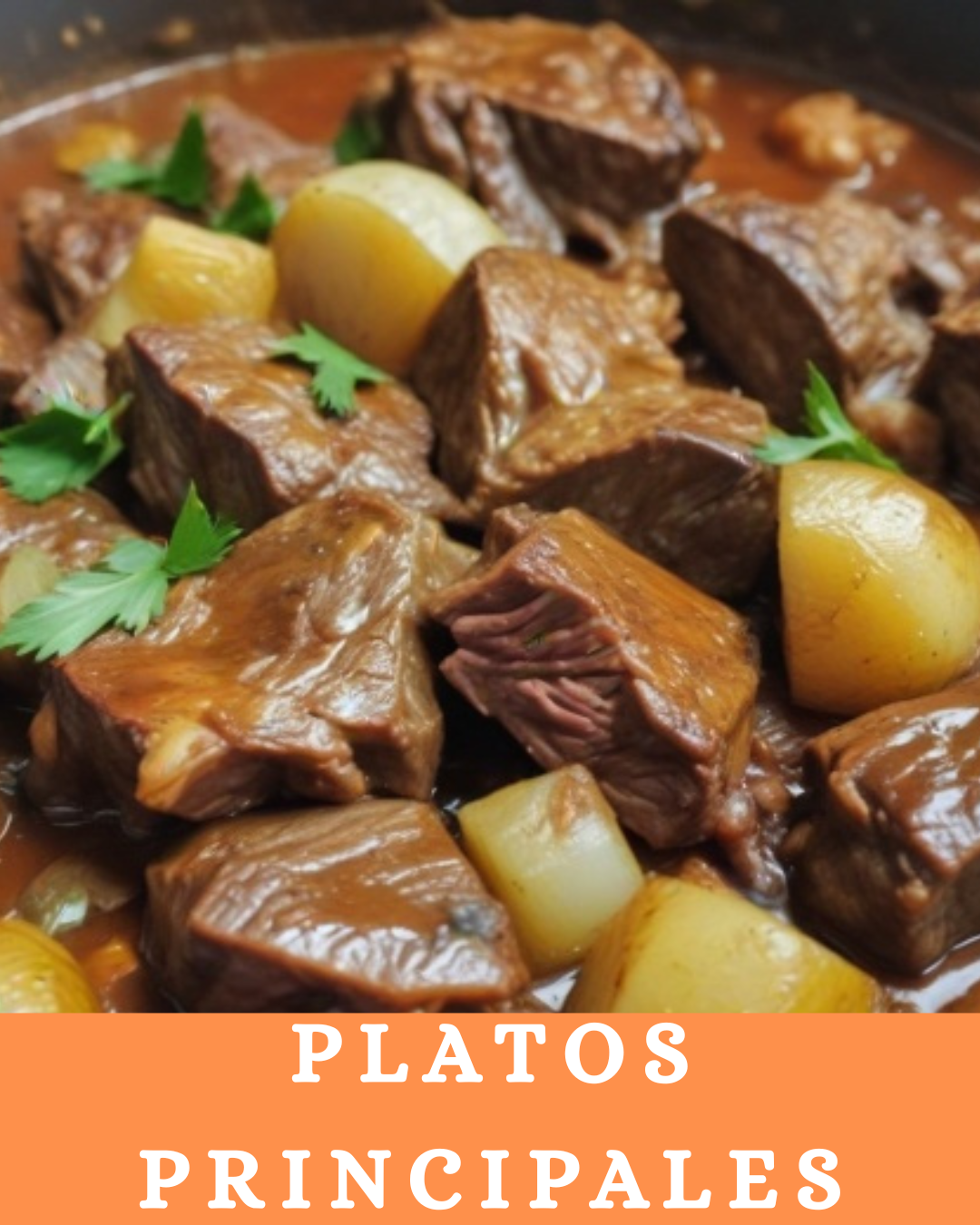 Platos Principales